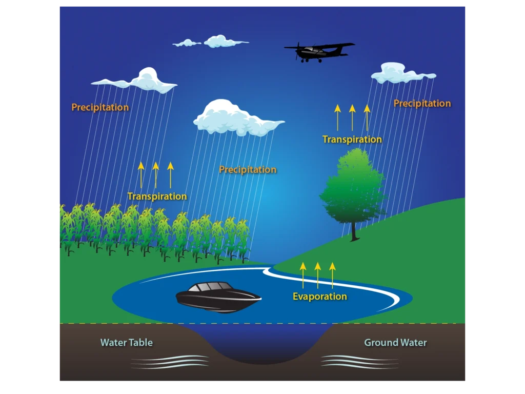 Water cycle illustration showing precipitation falling from clouds onto a cornfield, a hillside tree, and a lake with a boat, transpiration and evaporation rising as yellow arrows, and the water table and ground water layered below the soil line